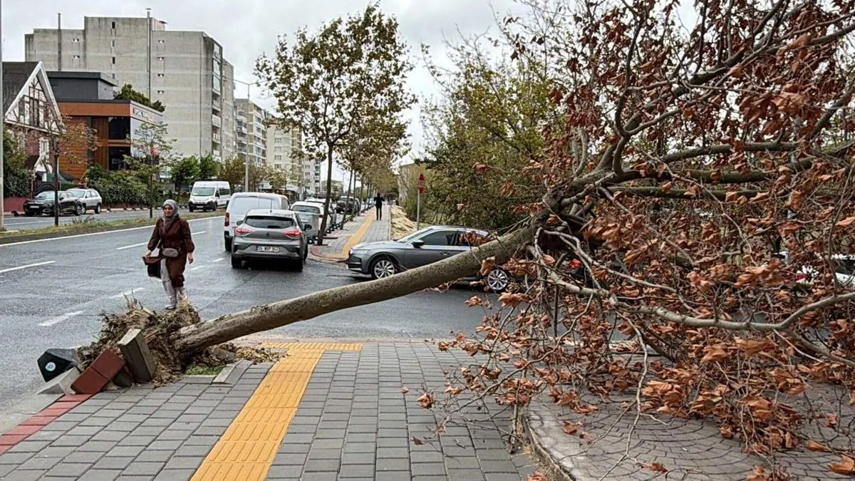 Tekirdağ'da fırtına: Eğitim uçuşları iptal edildi, balıkçılar denize açılamadı