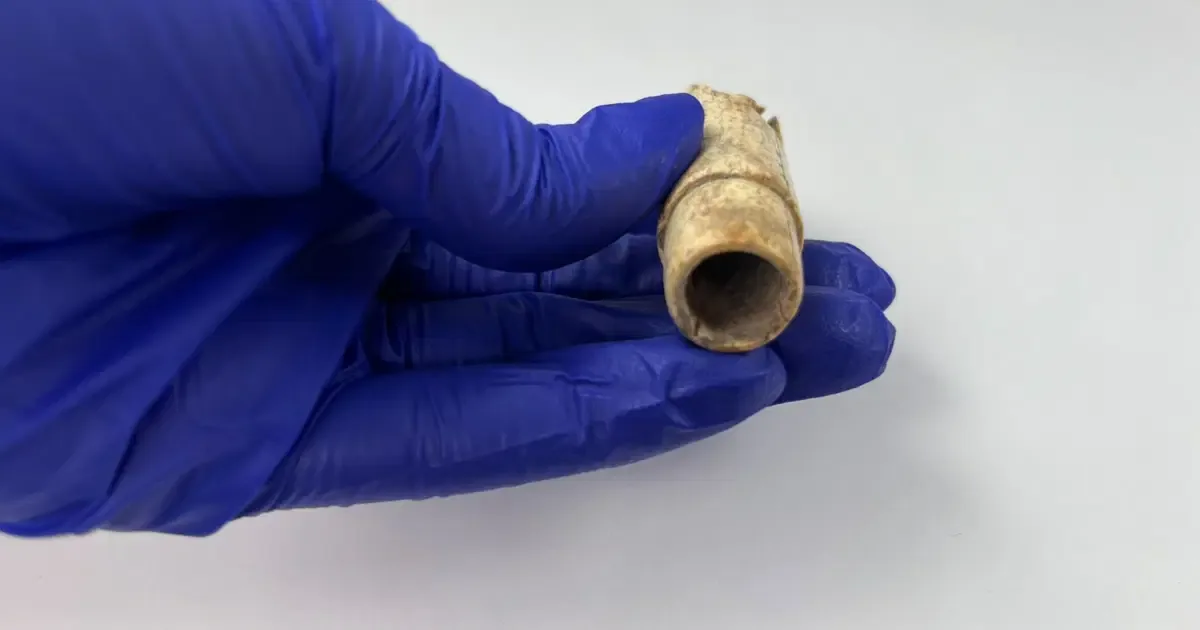 Troya'nın 160 Yıllık Kazı Geçmişinde İlk: Antik Kemik Flüt Bulundu