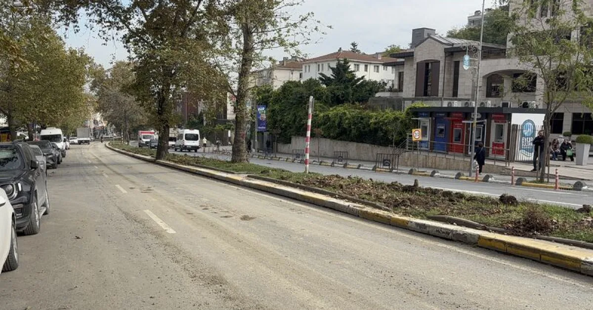 Eyüpsultan'daki Tramvay Projesinde Ağaçların Kesildiği İddiası Tartışma Yarattı