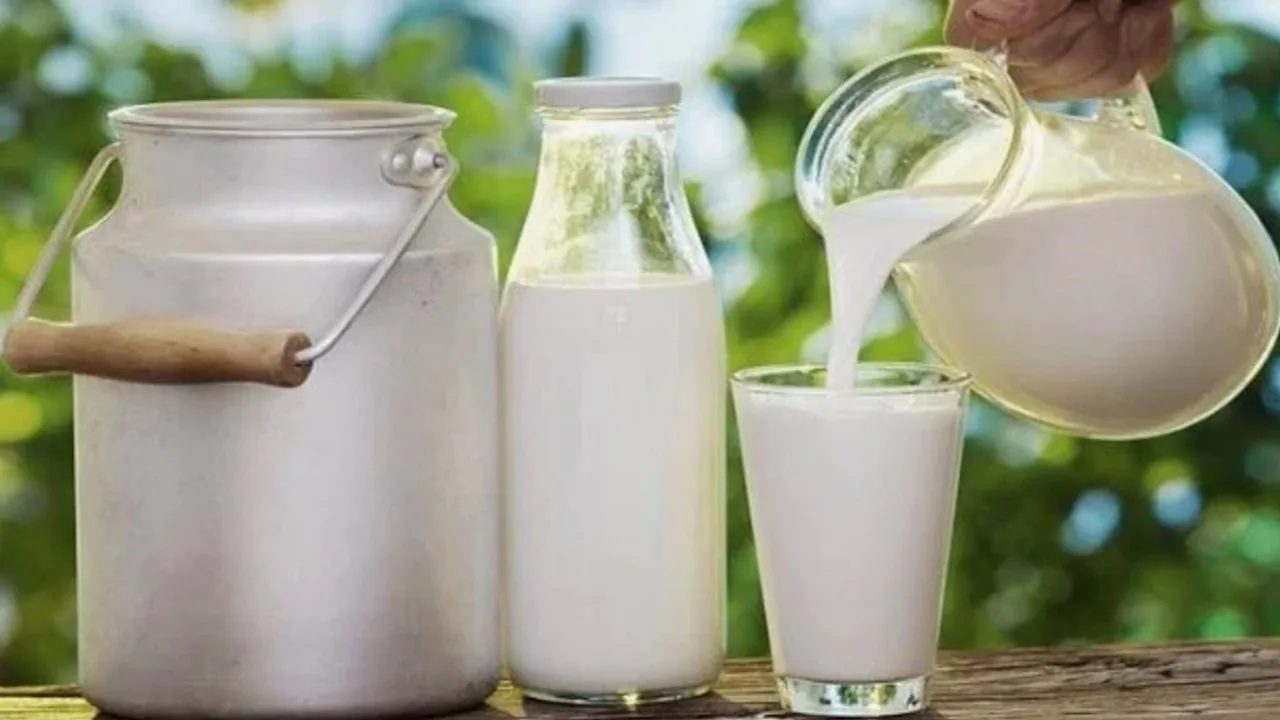 Çiğ süt desteğinde yeni düzenleme: katsayı artırıldı