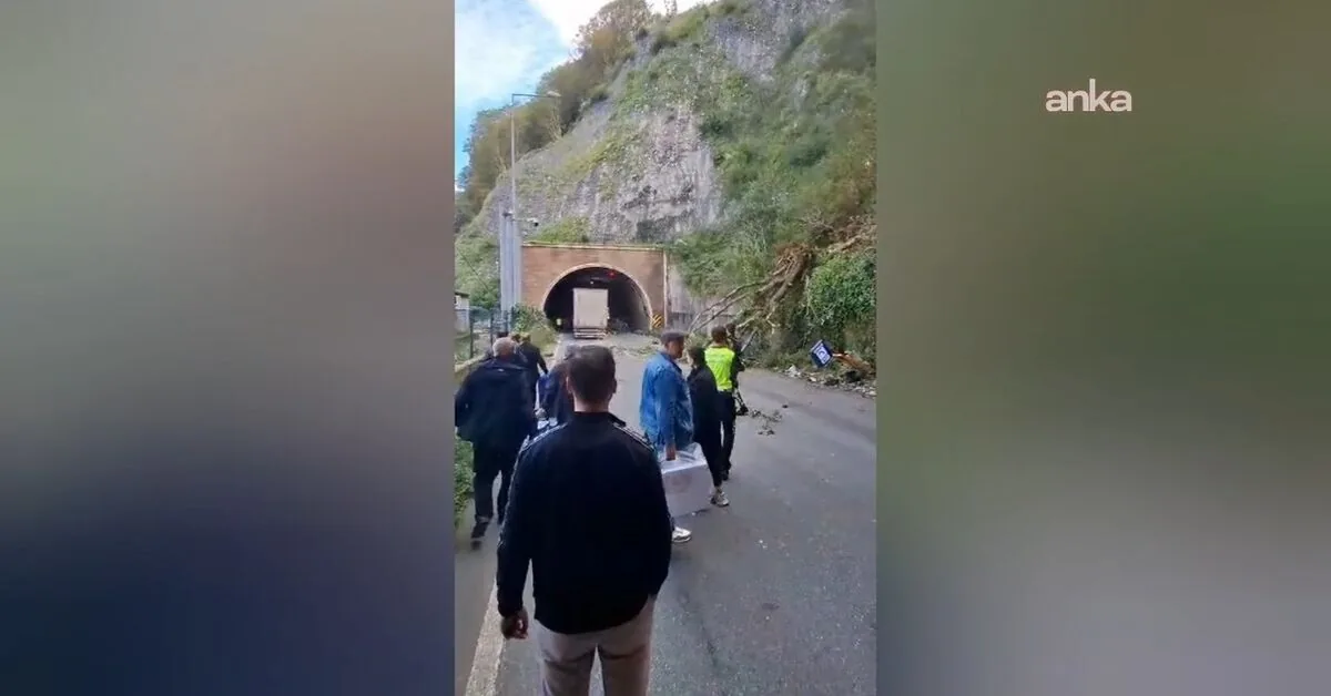 Hopa’da Heyelan Sonrası Tüneldeki Ağaçlar Temizlendi