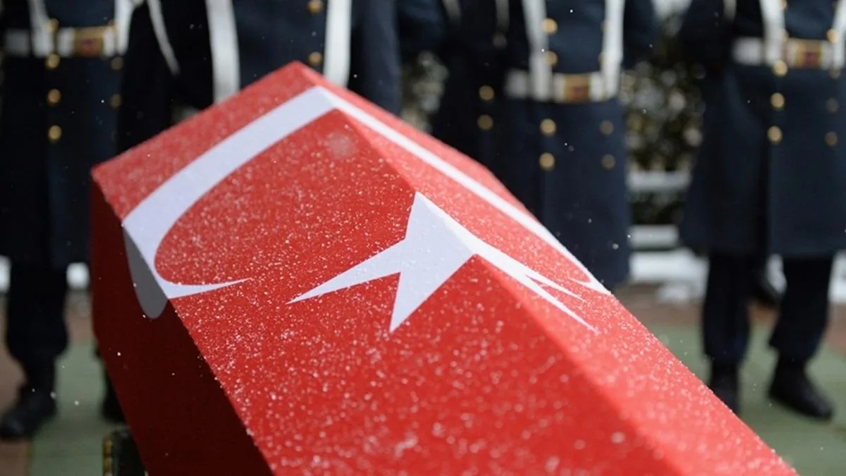 MSB'den acı haber: 1 asker silah kazasında şehit oldu