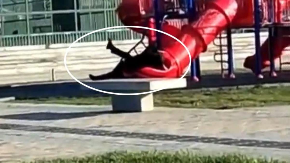 Kaydırakta sıkıştı! Fotoğraf karesindeki kişi bir devlet başkanı