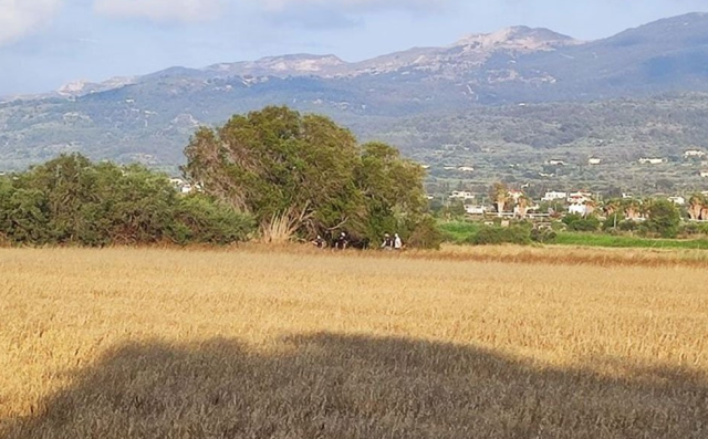 Kos Adası'nda kaybolan Polonyalı kadın, çalılıklarda çıplak halde ölü bulundu