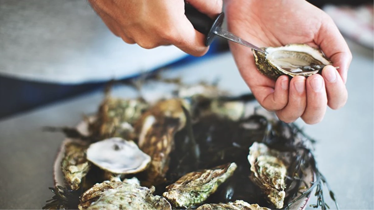 ABD’de tüyler ürperten olay! Marketten aldığı çiğ istiridyeleri yiyen adam hayatını kaybetti