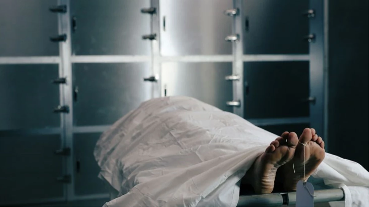 Harvard Tıp Fakültesi’nde kadavra parçalarını satmakla suçlanan morg müdürü açığa alındı