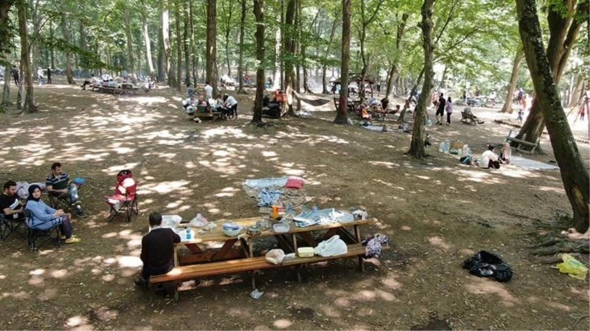 İstanbul’da yangınların önlenmesi amacıyla bazı piknik ve mesire alanları dışında ormanlık alanlara girişler yasaklandı