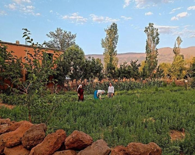 Ünlü oyuncu Wilma Elles, eşinin memleketi Bitlis'e gidip kayınvalidesinin elini öptü