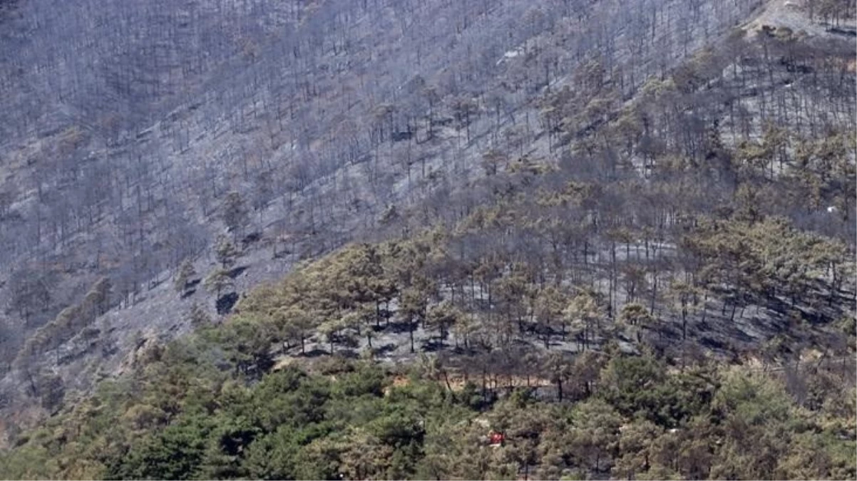 Hatay’ın Belen ilçesindeki orman yangını kontrol altına alındı, gözler şimdi Çanakkale’de