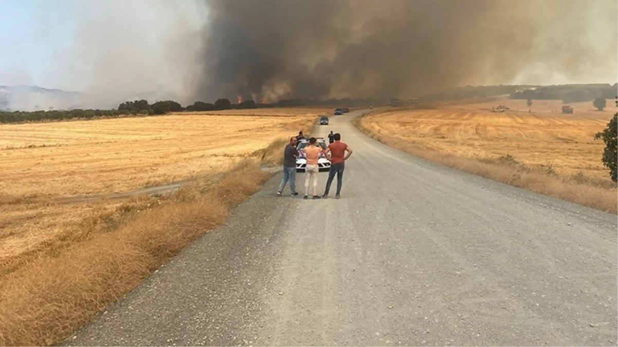Gelibolu Yarımadası’nda makilik alanda yangın çıktı