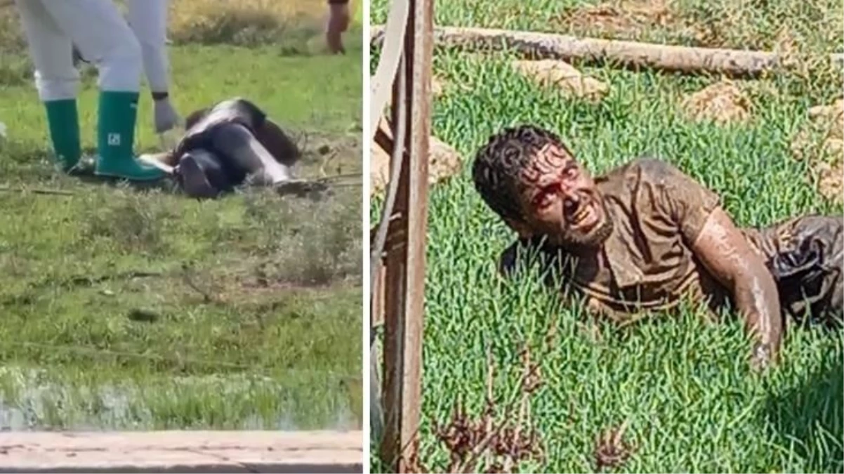 Hastaneden kaçmıştı! Kuduz teşhisiyle tedavi gören adam hayatını kaybetti