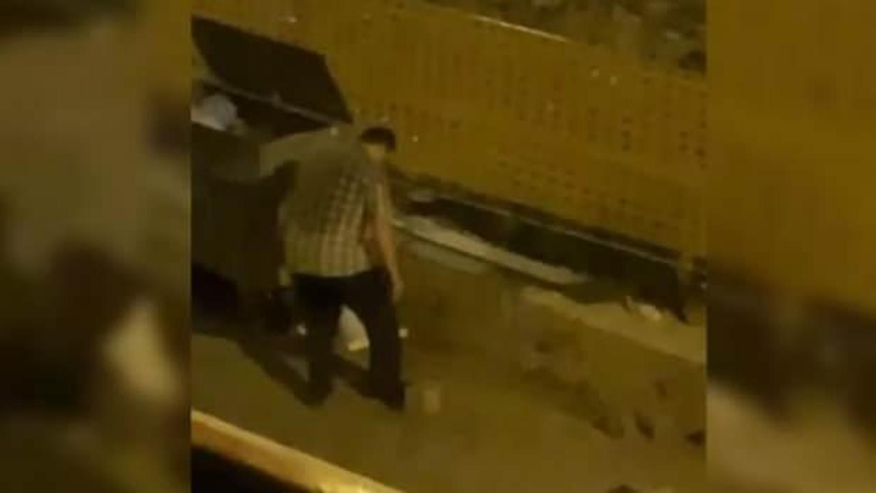 Yavru kedileri ayağıyla tek tek ezip öldürdü