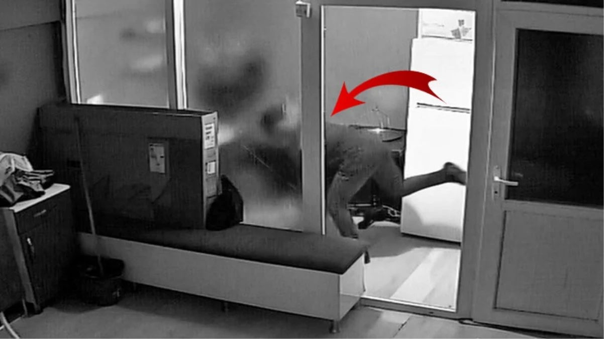 15 yaşındaki çırak, kuaförün kedisini defalarca tekmeledi