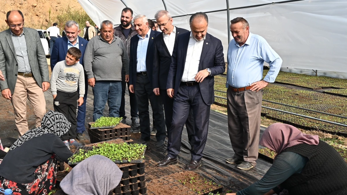 Bursa’nın çiçekleri Kelesli çiftçilerin emeğiyle açıyor