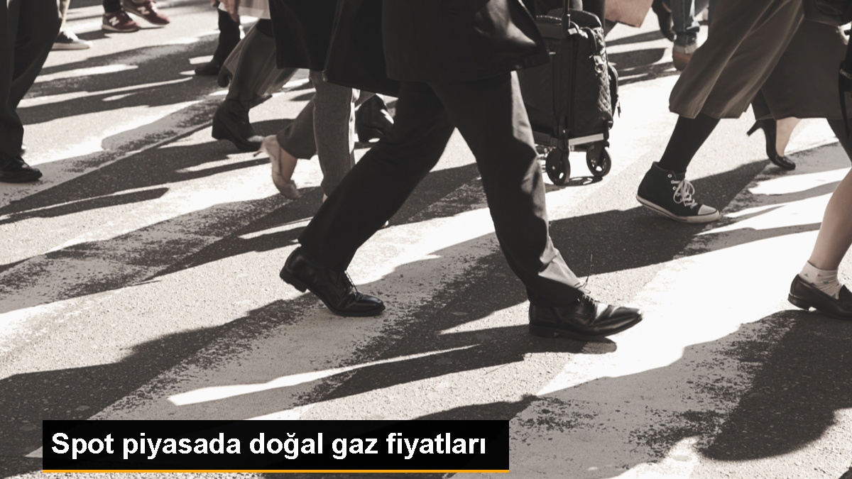Spot Doğal Gaz Piyasasında Referans Fiyat 10 Bin 954 Lira 18 Kuruş