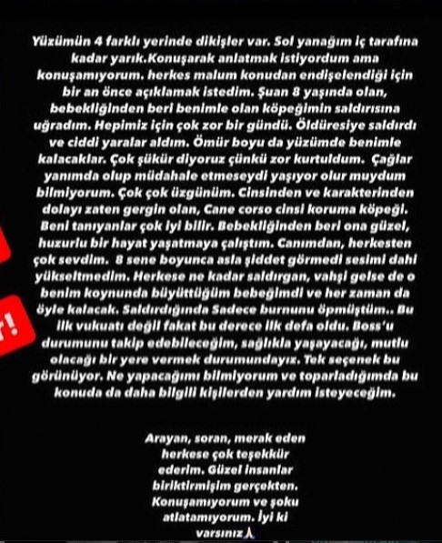 Sosyal medya fenomeni Cansu Yeğin, köpeğinin saldırısına uğradı