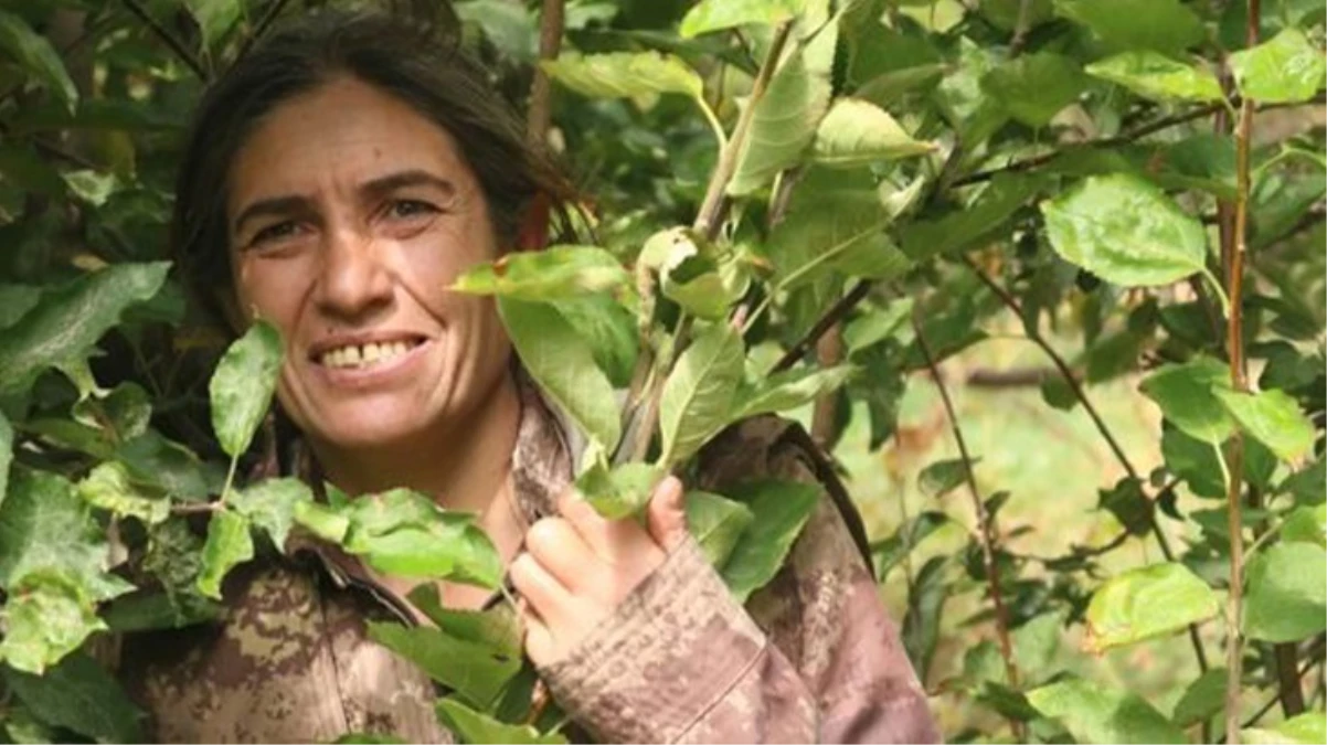 MİT’ten nokta operasyon! PKK’nın sözde sorumlusu Ayşe Arslan etkisiz hale getirildi