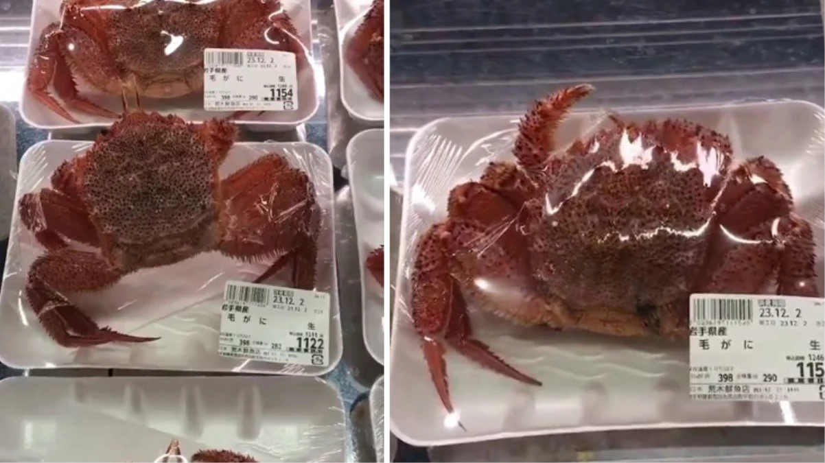 Markette satılan yengeç, paketin içinde canlandı