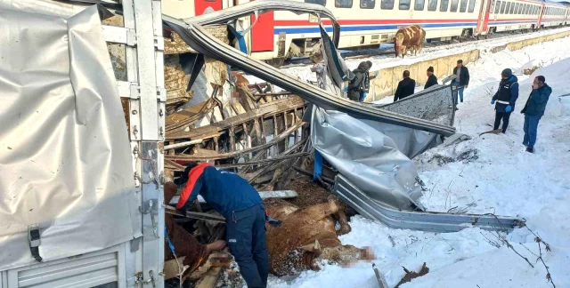 Hayvan yüklü TIR'a tren çarptı: 2 ölü, 2 yaralı