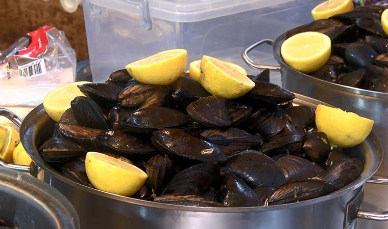 Araştırma: Boğaz midyesinin yüzde 73’ünde mikroplastiğe rastlandı