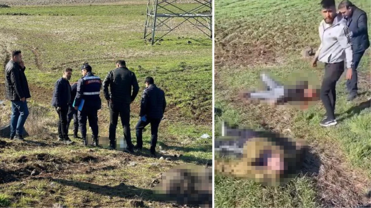 Yol tarifi için durdu, dehşete tanık oldu!