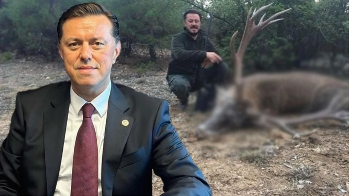 AK Parti’nin Eskişehir adayı Nebi Hatipoğlu’nun geyik ve yaban domuzu avladığı görüntüler ortaya çıktı