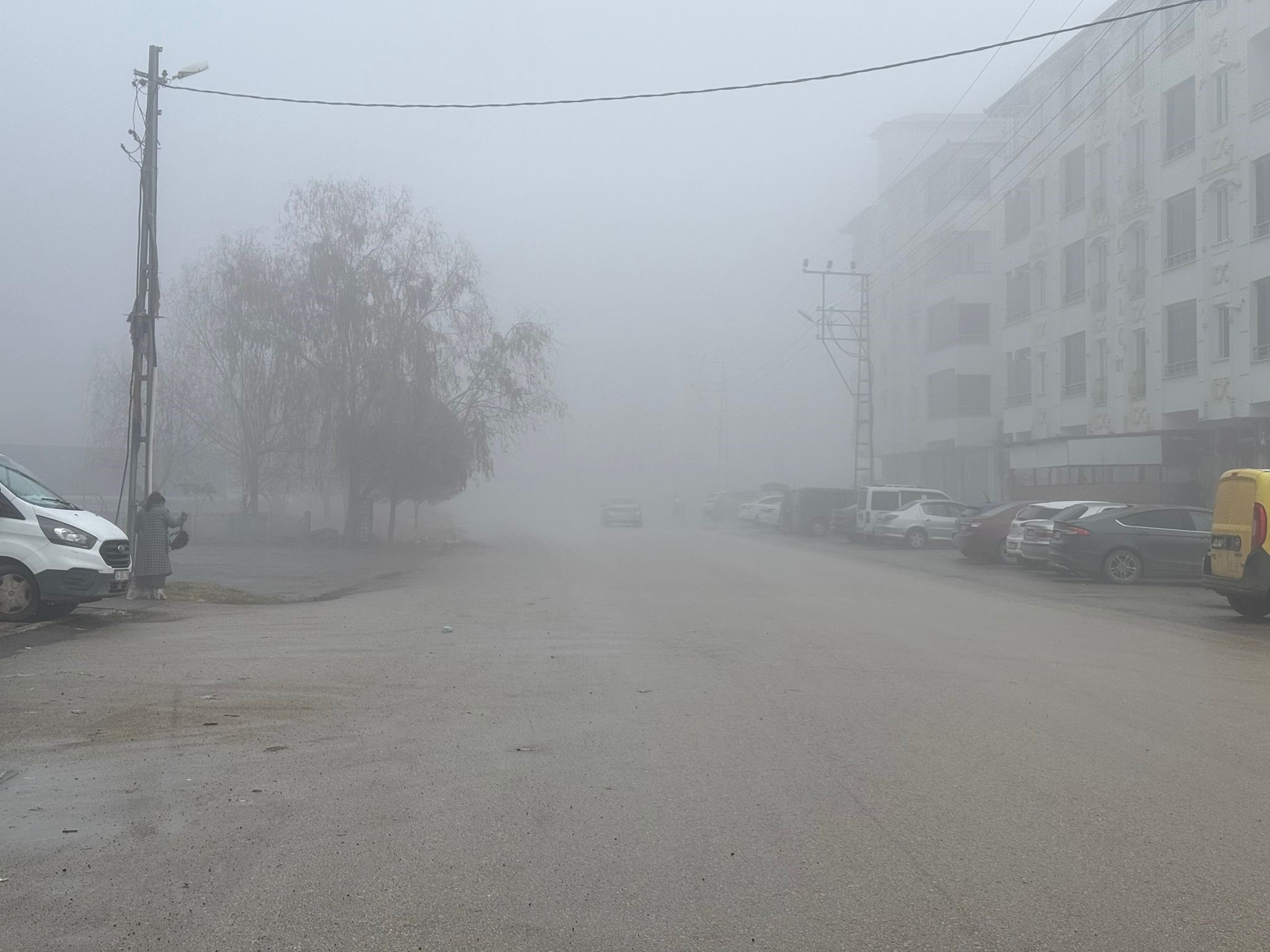 Iğdır’da yoğun sis etkili oldu