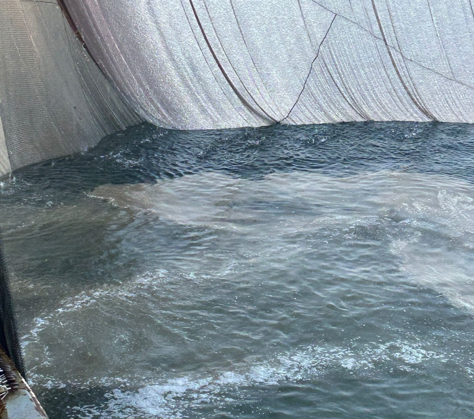 Marmara Denizi’nin korkulu rüyası geri döndü