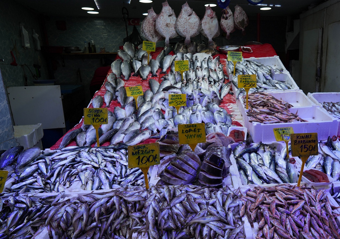 Sibirya soğukları hamsiye yaradı