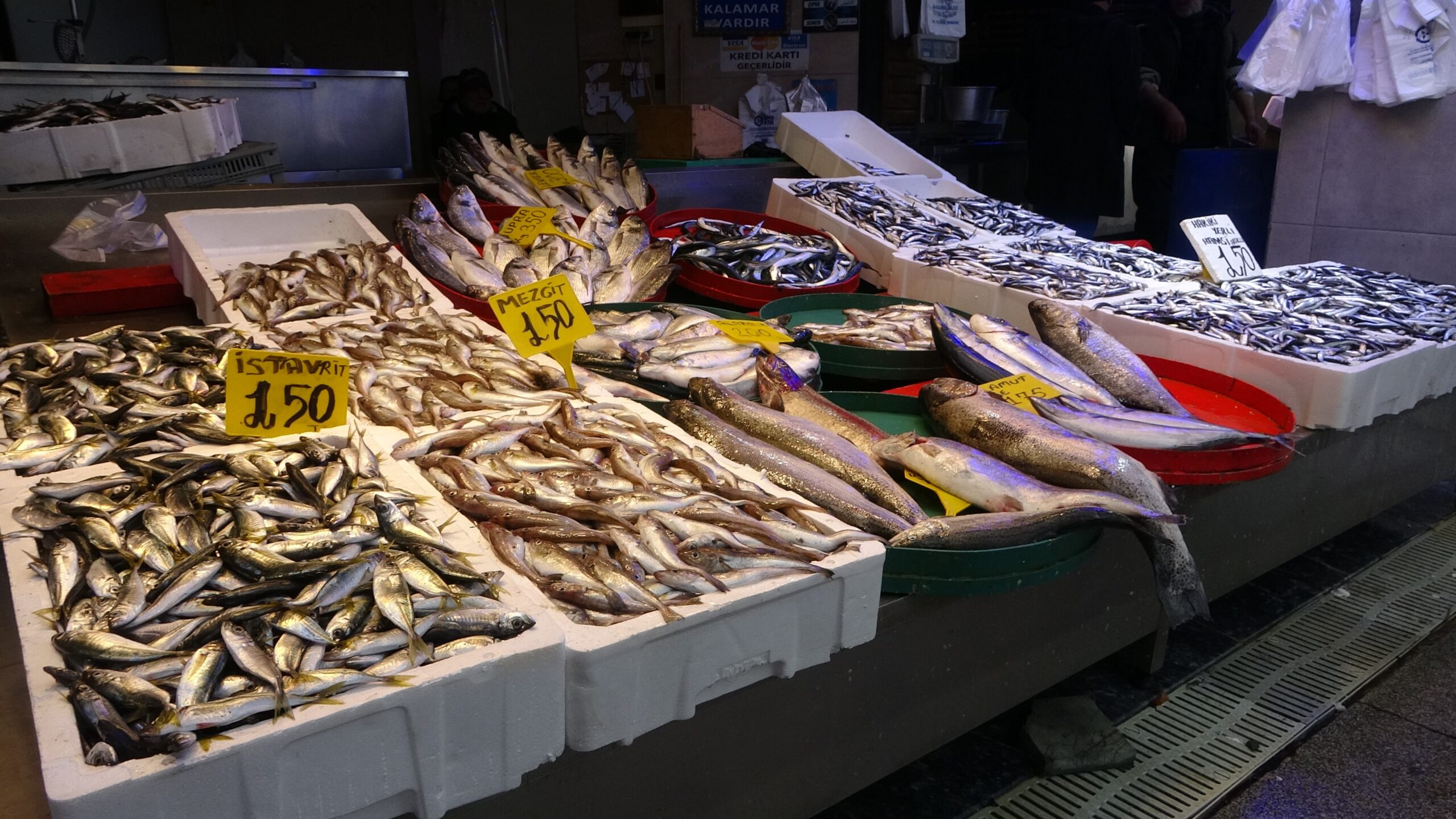 Hamsi tekrar bol miktarda tezgâhlarda yerini aldı