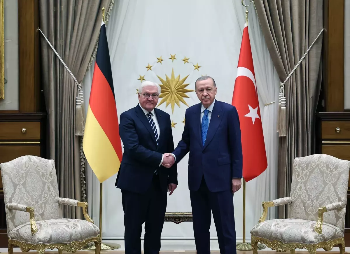 Cumhurbaşkanı Erdoğan, Almanya Cumhurbaşkanı Steinmeier ile görüştü