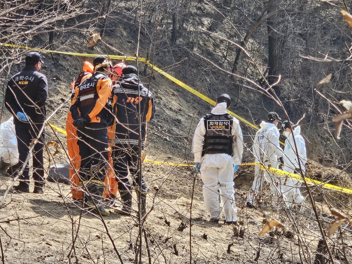 Güney Kore’de orman yangınlarının yol açtığı hasar, tahminlerin iki katı çıktı