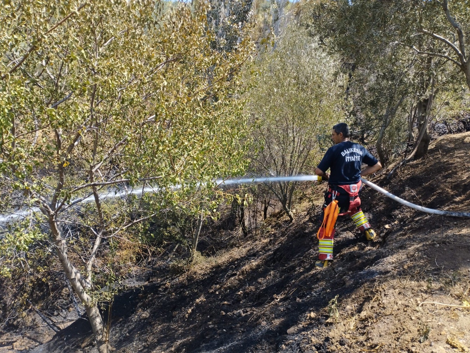 Balıkesir İtfaiyesi 12 günde 971 yangına müdahale etti