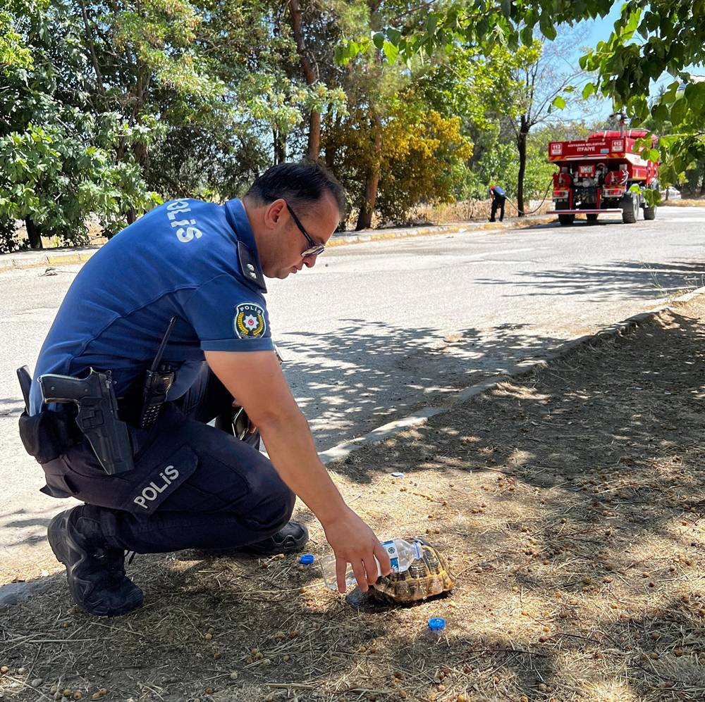 Yanmak üzere olan kaplumbağayı polis son anda kurtardı