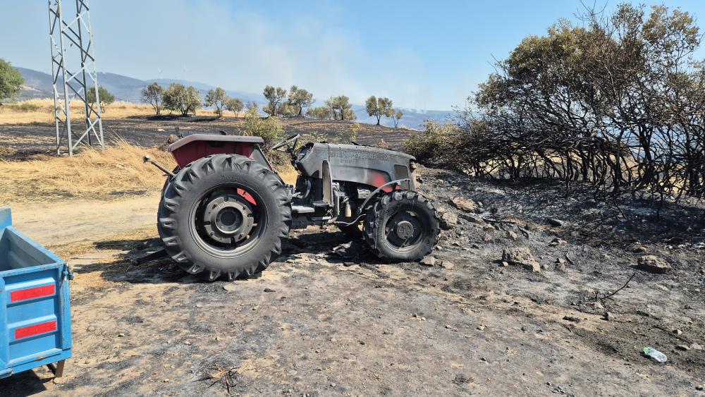 Şarköy’de orman yangınında araçlar küle döndü