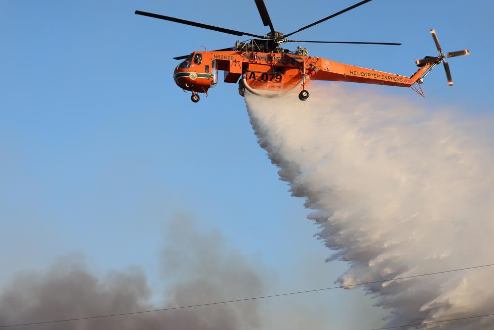 Şarköy’deki orman yangını kontrol altına alındı