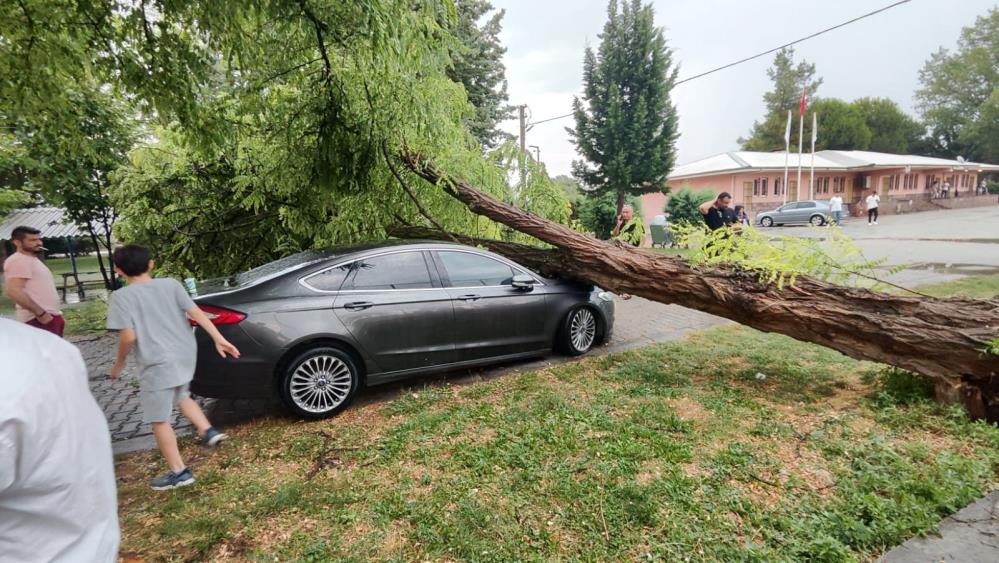 Çivril’de fırtına 15 metrelik ağacı devirdi