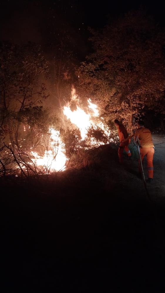 Gebze’de gece yarısı orman yangını: 7 dönüm alan kül oldu