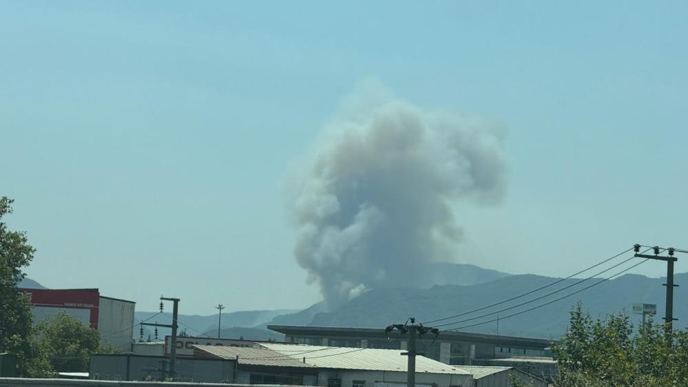 Geyve’de ikinci orman yangını çıktı