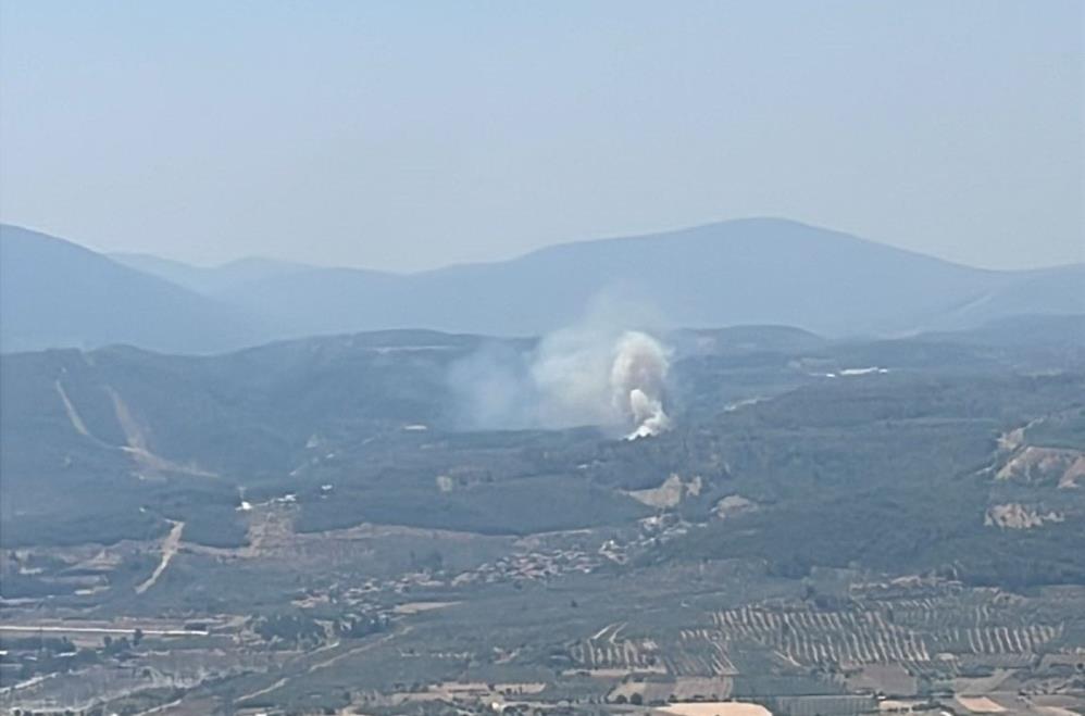 Muğla’da orman yangını