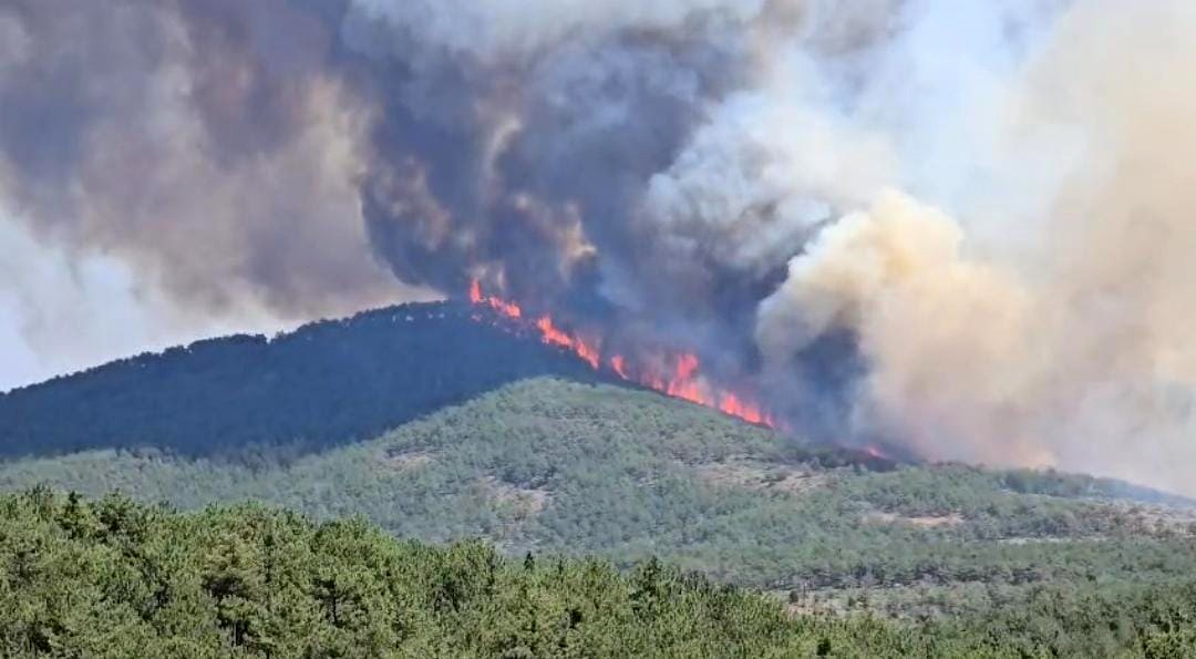 2 mahallenin tahliye edildiği yangına 3 uçak ve 2 helikopter gönderildi