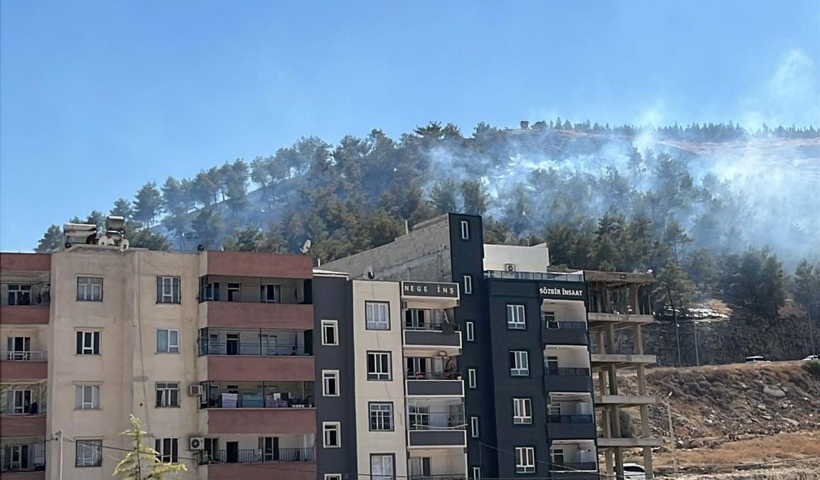 Şanlıurfa’da itfaiye ekipleri ağaçlık alanda çıkan yangın söndürdü