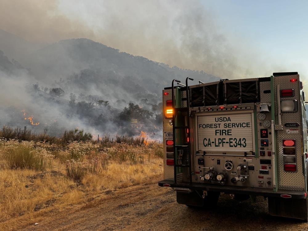 ABD’de orman yangını: 72 bin dönümden fazla alan kül oldu