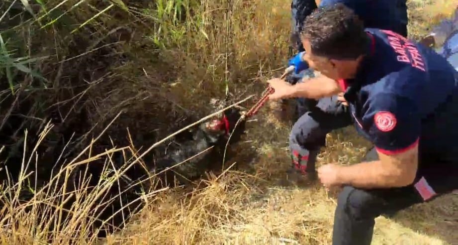 Batman’da kuyuya düşen keçi kurtarıldı