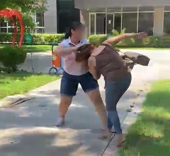 Kocasıyla birlikte parkta bastığı kadını saçından sürükledi