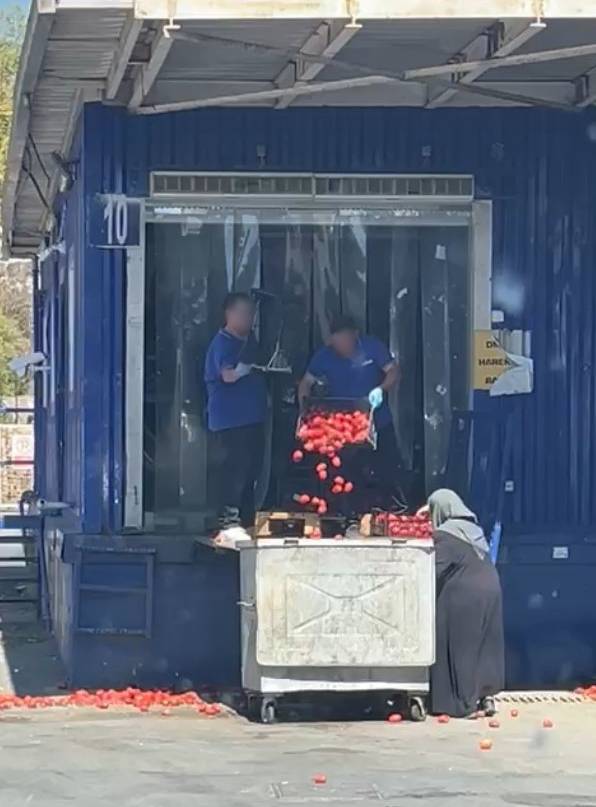 Zincir markette kasalar dolusu domates çöpe döküldü, o anlar tepki topladı