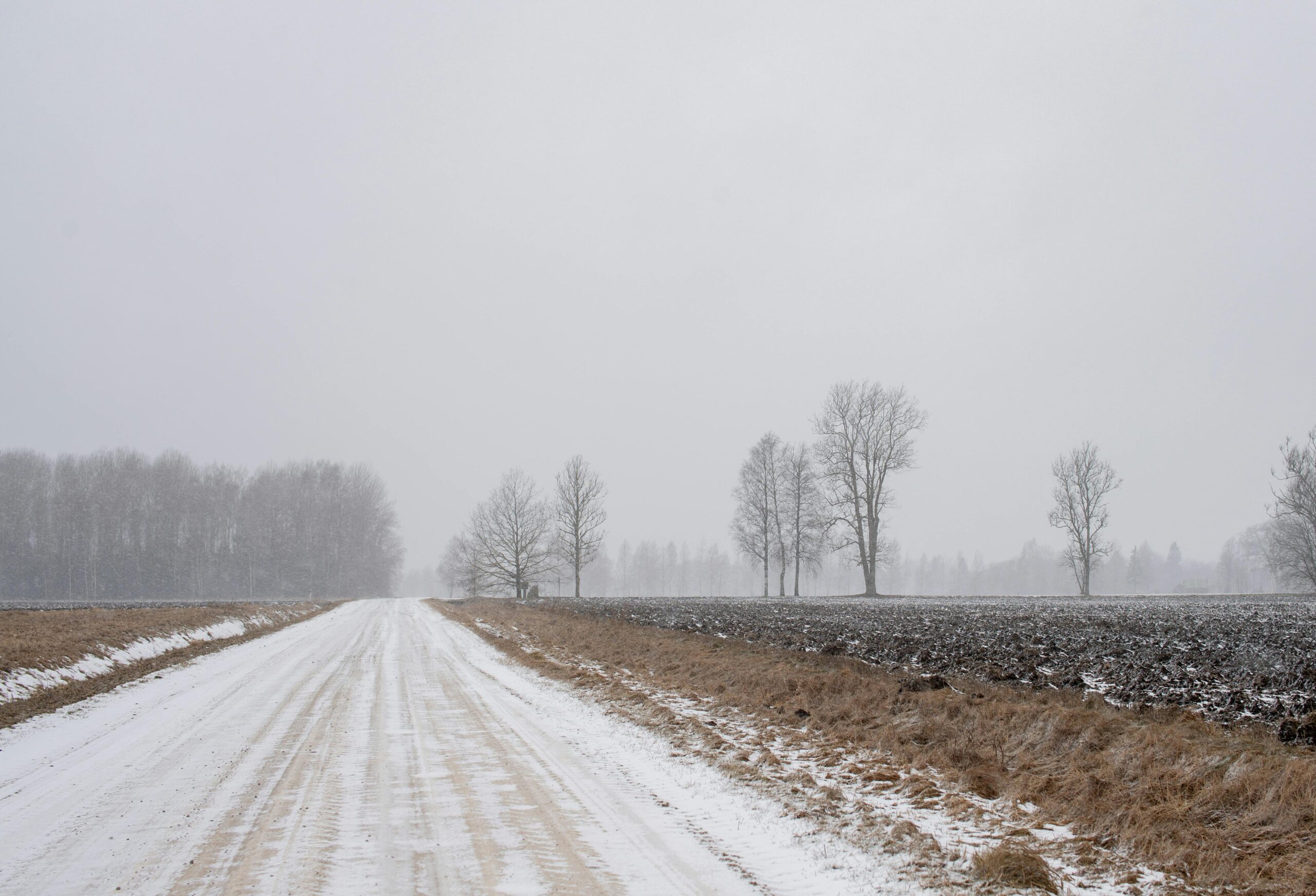 30 Aralık’ta Kar Tatili: Hangi İllerde Okullar Tatil?